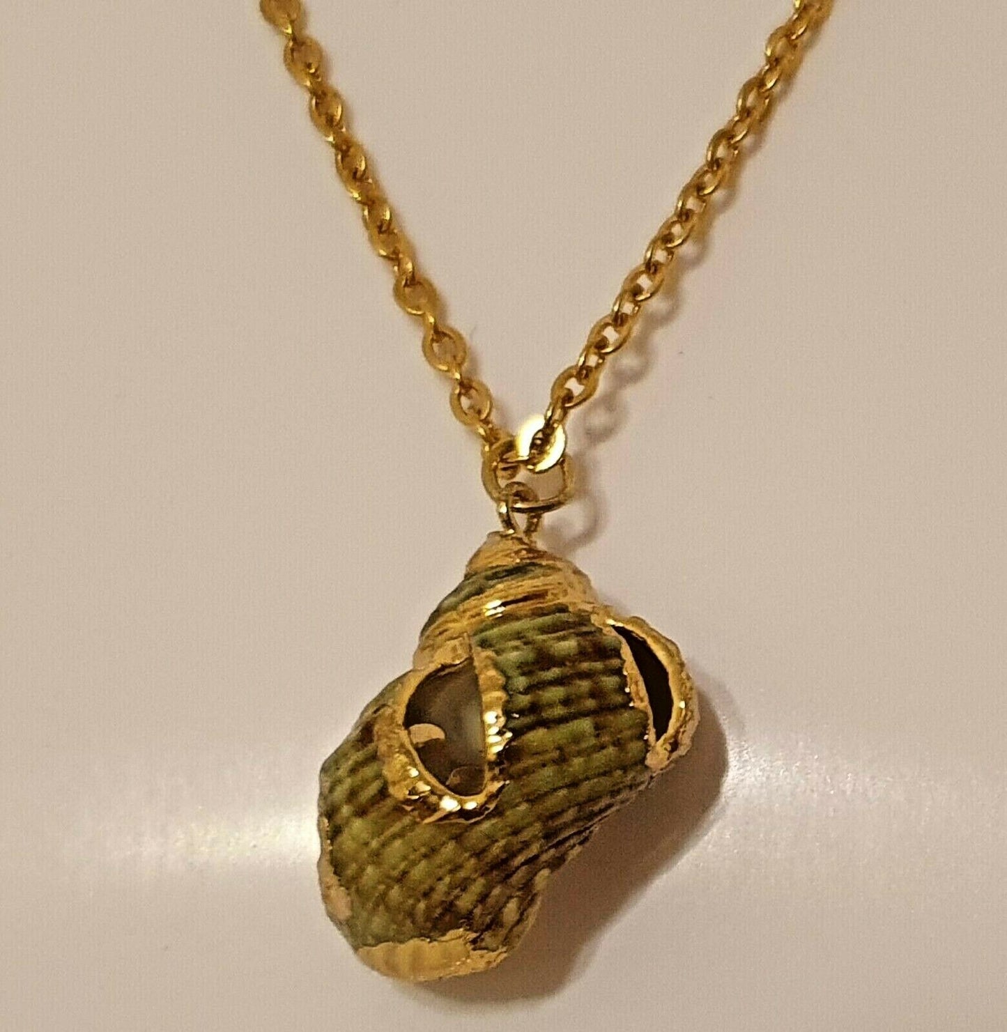 Natural Shell Pendant Gold Plated Chain Necklace