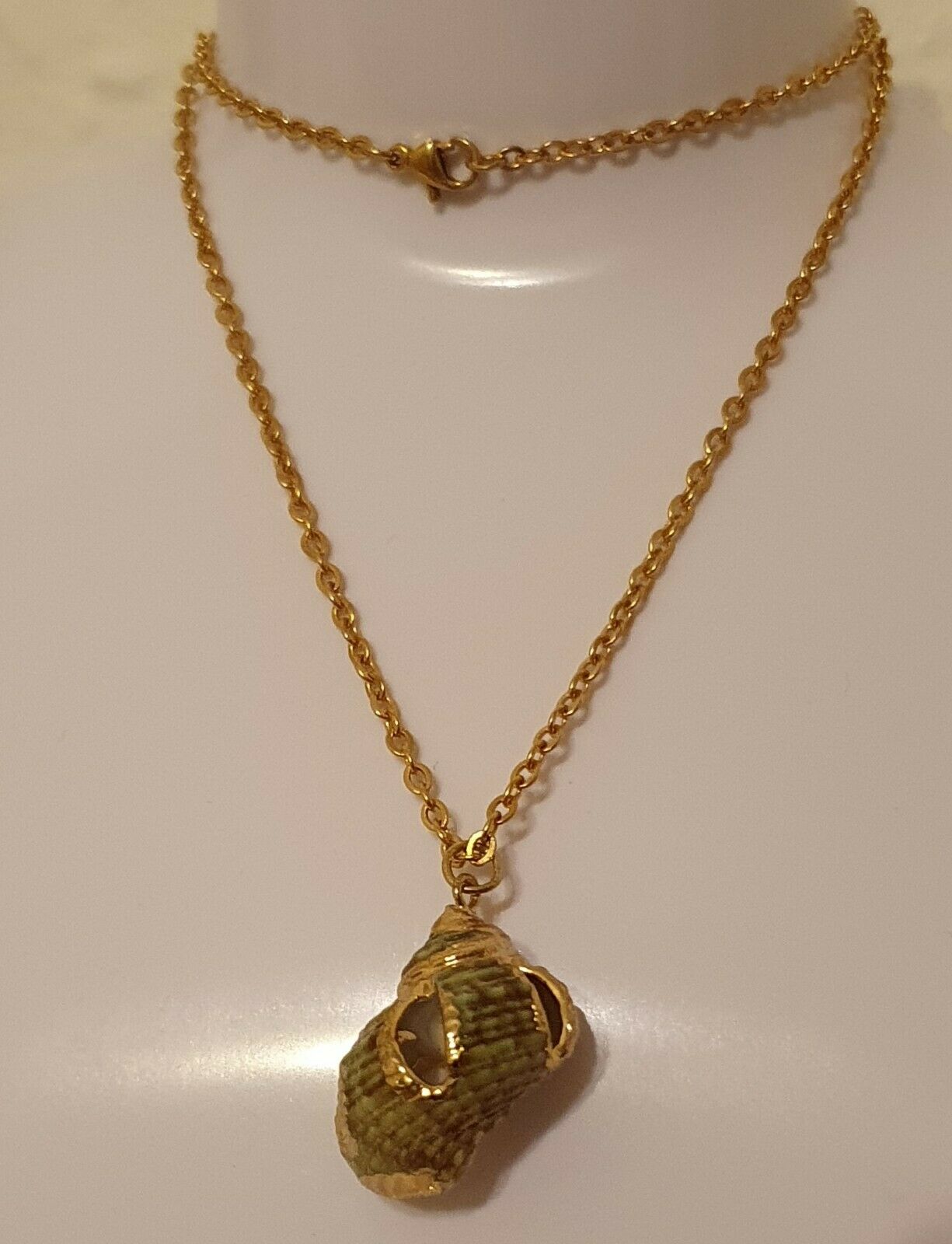 Natural Shell Pendant Gold Plated Chain Necklace