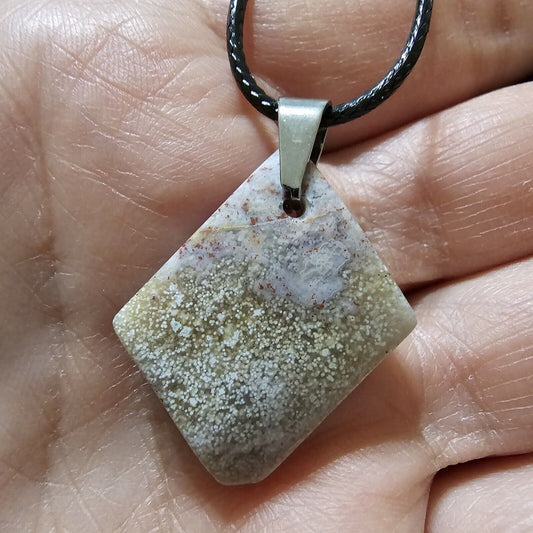 Natural Fossil Coral Corded Necklace